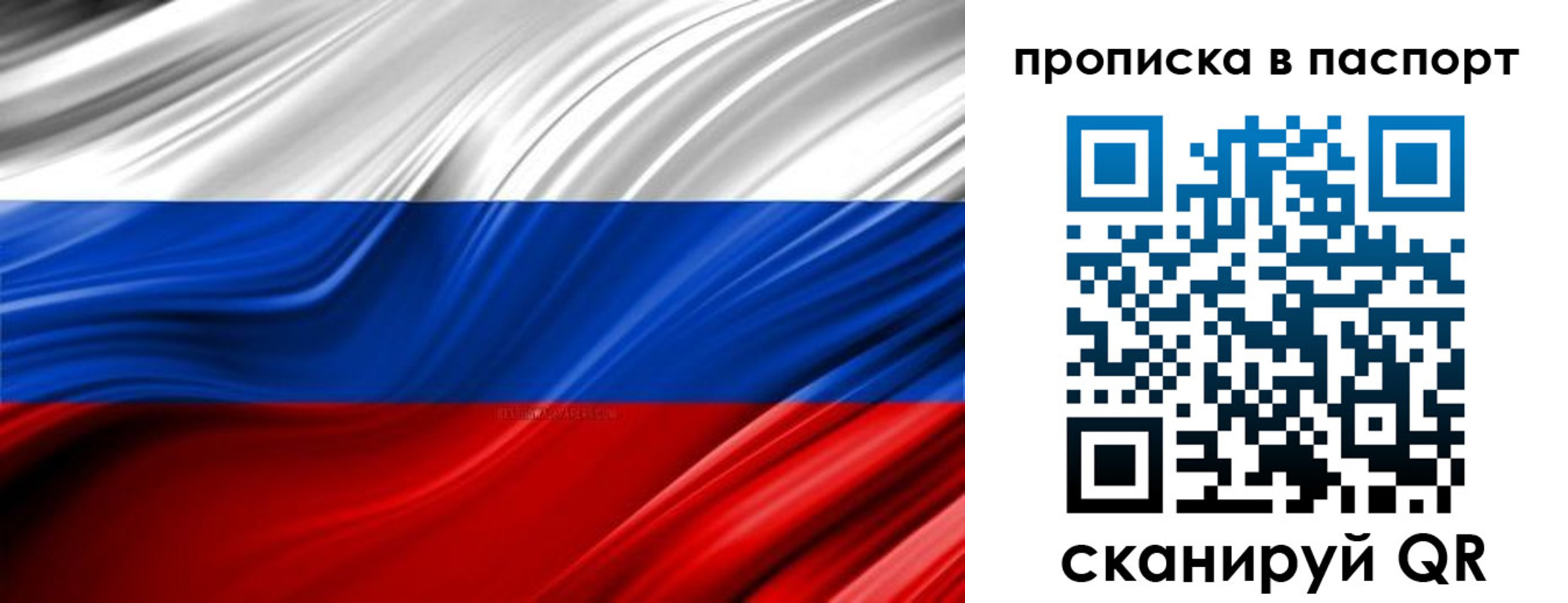 временная регистрация гарантия в Королёве